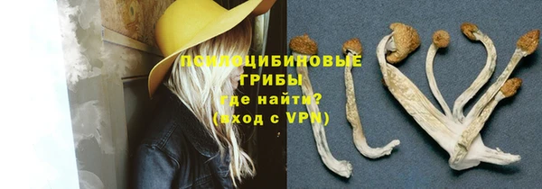 крисы Абаза