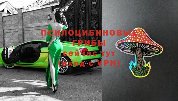 крисы Абаза