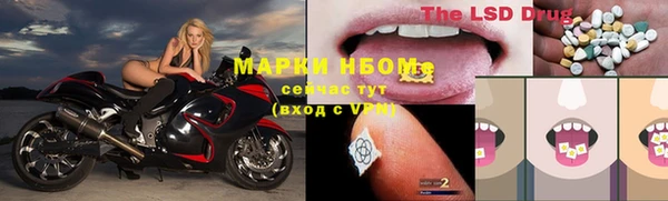 крисы Абаза