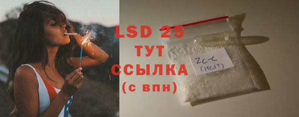 крисы Абаза