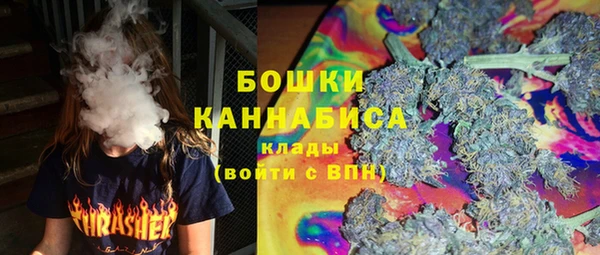 крисы Абаза