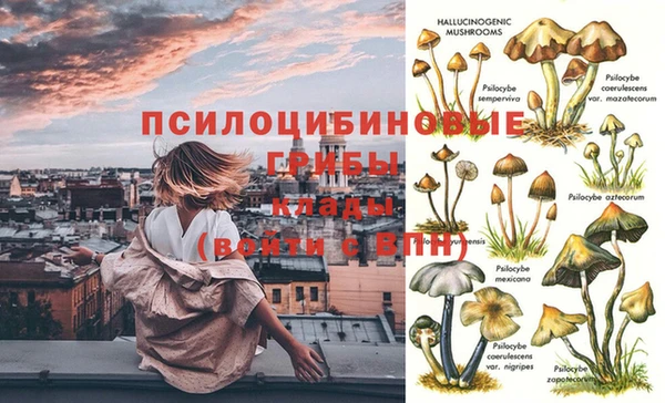 крисы Абаза
