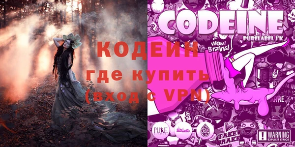 крисы Абаза