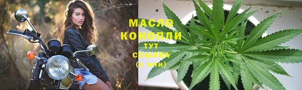 крисы Абаза