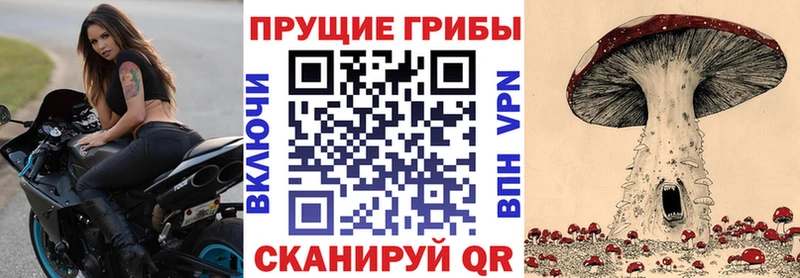 цены наркотик  Ялта  Галлюциногенные грибы Psilocybine cubensis 