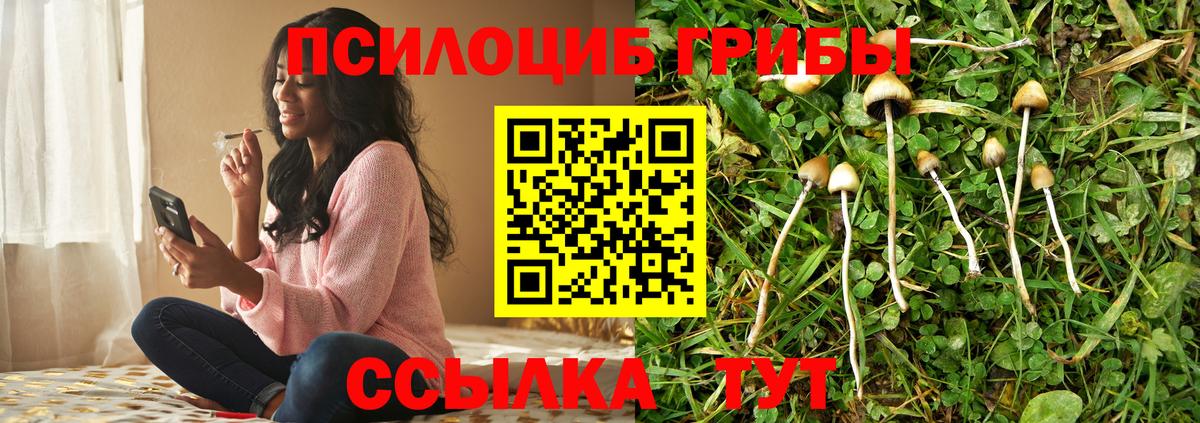 Галлюциногенные грибы прущие грибы  Галлюциногенные грибы прущие грибы  где продают   Ялта  Вход с VPN 